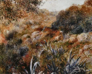 Algerische Landschaft